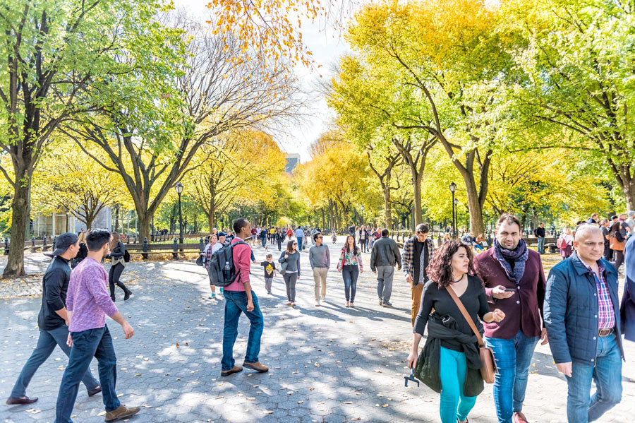 Manhattan NYC Central park with people walking on street alley, benches in autumn fall season with yellow vibrant saturated foliage trees, sitting on benches